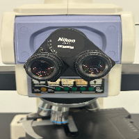 Nikon Eclipse E1000 Microscope image 2
